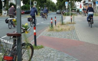 Premiumroute: Fahrradstraße – zur Umgestaltung der Parkallee in Bremen